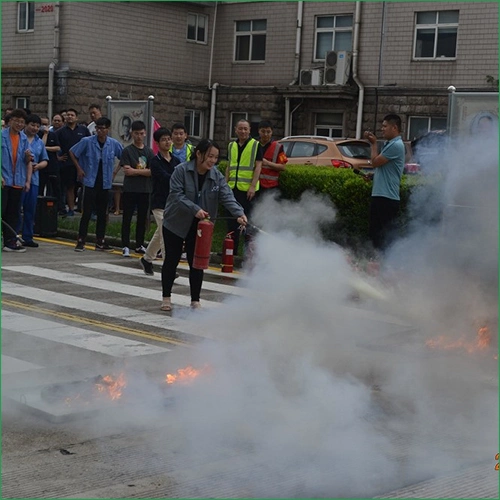 Entrenamiento contra incendios y simulacro de emergencia